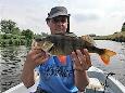 IMG 0212 (Small)
