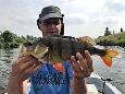 IMG 4117 (Small)