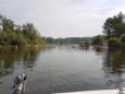 IMG 4131 (Small)