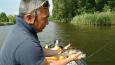 IMG 20170603 160025003 (Small)