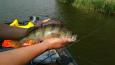 IMG 20170603 160031145 (Small)