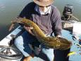 20170923 142031 (Small)