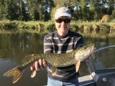 IMG 4822 (Small)