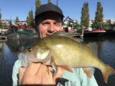 IMG 4827 (Small)