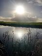 IMG 5241 (Small)