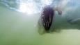 Gravenbol 24-03-2018 (2).Movie Snapshot 2 (Small)