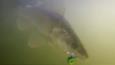 Gravenbol 24-03-2018 (11).Movie Snapshot 2 small