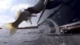 Gravenbol 24-03-2018 (18).Movie Snapshot 2 (Small)