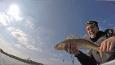IMG 5621 (Small)