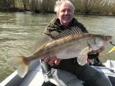 IMG 5485 (Small)