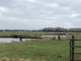 IMG 1869 (Klein)