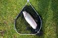 Kopie-9077 (Small)