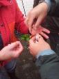20121013 112225 (Small)