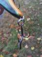 20121013 142713 (Small)