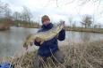 Tull en t waal  snoek (Small)