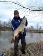 Tull en t waalsesnoek (Small)