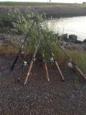 IMG 0656 (Small)