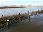 AUHV plaatst 'Vissenbos' in Houten