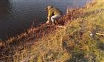 Roofvisgroep - Dood aas vissen in de wijk Veldhuizen