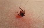 Lyme: de tijd van onderschatting is voorbij