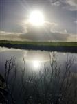 Roofvisgroep - Meijepolder 16-12-2017