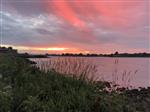 Roofvisgroep Bootvisdag op De Lek 23-06-2018