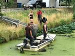Waterschap roept op: meld vissterfte in Utrecht