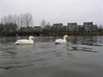 AUHV redt steiger Imkersplas van sloop