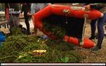 Duikers vissen schadelijke plant uit Loosdrechtse Plassen (video)