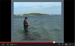 Fjordvissen in Midden-Noorwegen (video)